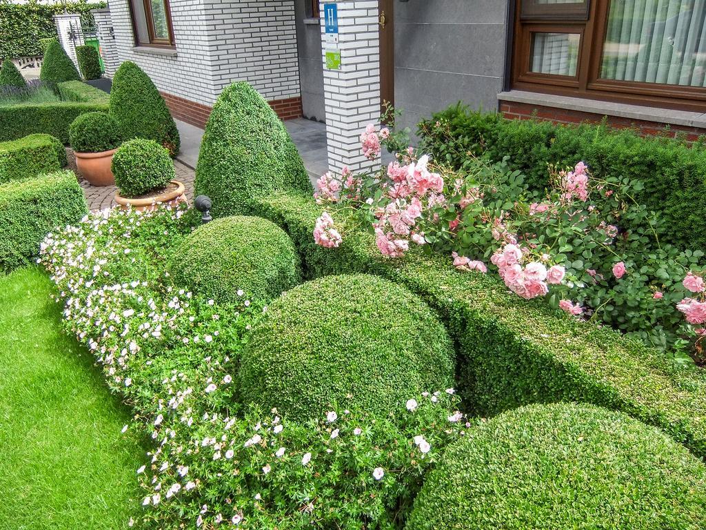 Hotel Wilgenhof Maaseik Dış mekan fotoğraf
